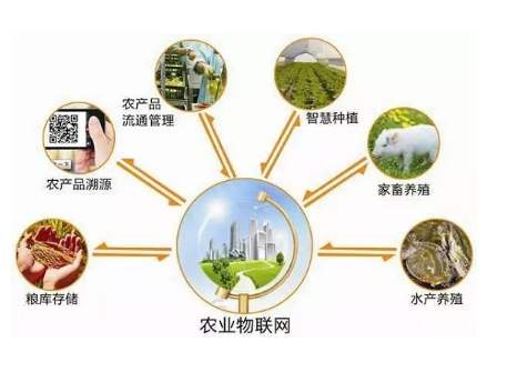 物聯(lián)網(wǎng)與區(qū)塊鏈全程溯源技術(shù)共筑食品安全護(hù)城河